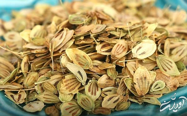 خواص گلپر برای سلامتی فواید گیاه گلپر